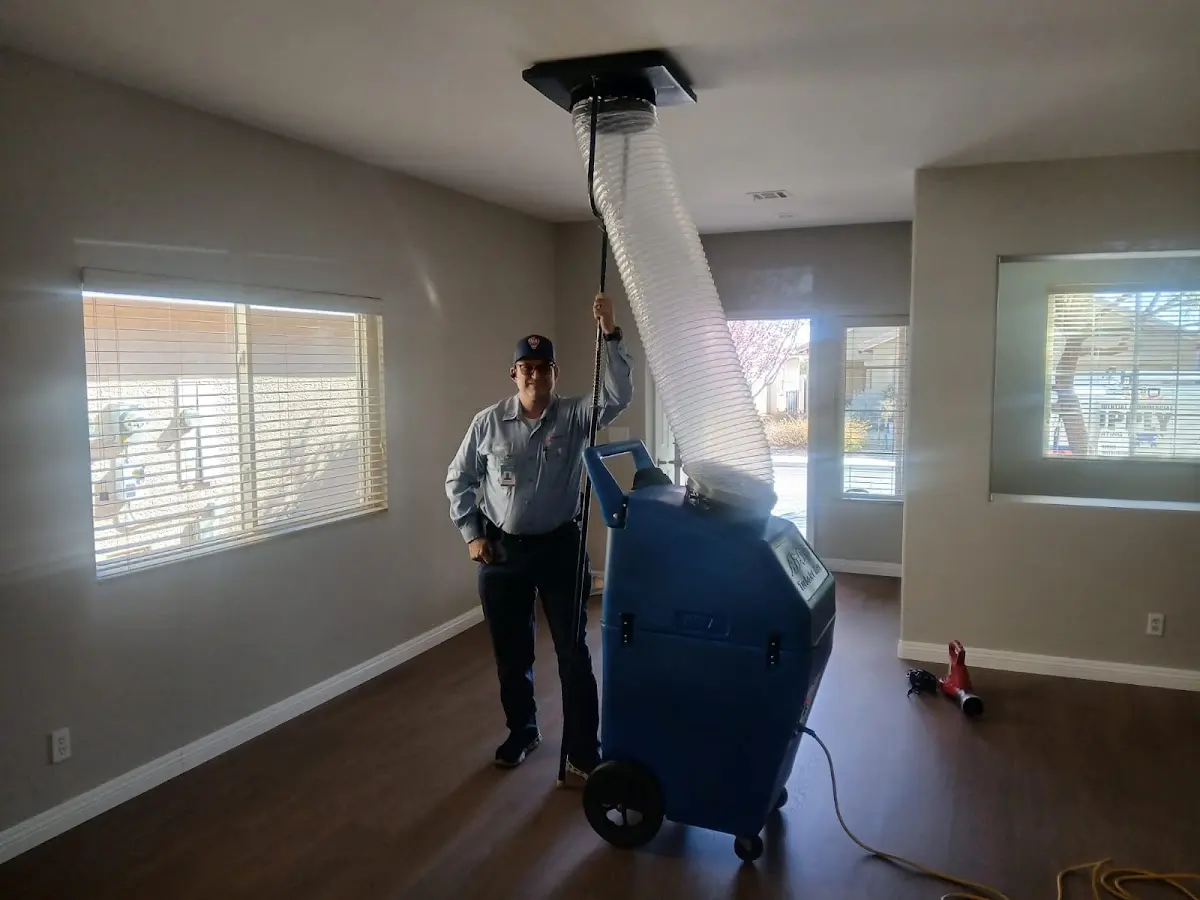 Professional Emergency HVAC Repair work inside a Bellevue home